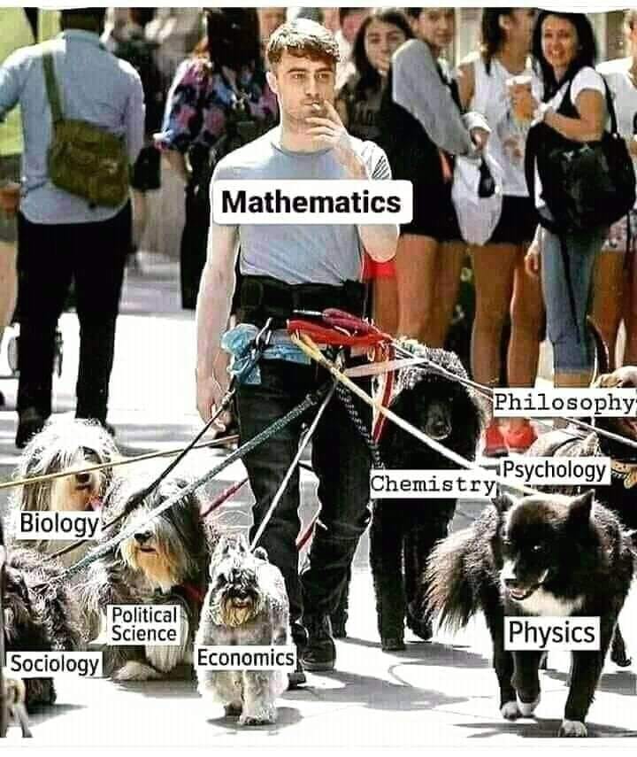 The meme is a humorous image of a person walking multiple dogs, each representing a different field of study (e.g. Biology, Chemistry, Physics, etc.). The person is labeled "Mathematics" and is surrounded by various academic disciplines, implying that math is the central, controlling force that ties everything together. The text "Mathematics" is overlaid on the person's chest.
